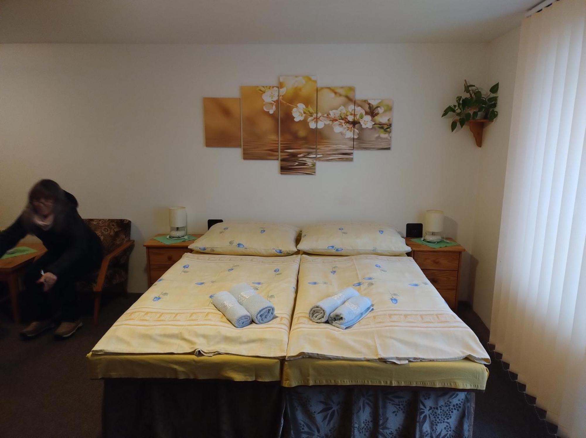 Apartament Rekreacny Dom Bystrá Zewnętrze zdjęcie